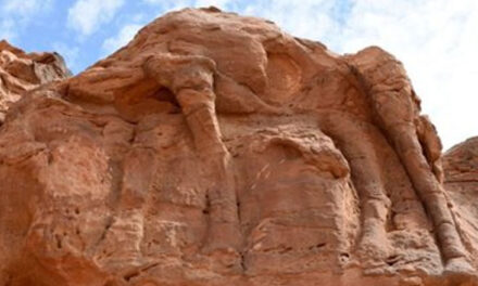 اسٹون ہینج اور پرامڈ سے بھی قدیم ہے سعودی عرب میں ملا ’اونٹوں کی نقاشی‘ والا پتھر، یہ ہے 8000 سال پرانی فنکاری!