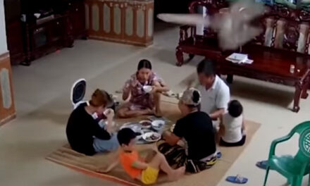ویڈیو: 6 لوگوں پر مشتمل فیملی کھا رہی تھی کھانا، اچانک اوپر سے گر پڑا پنکھا