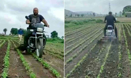 کسان نے کھیت جوتنے کے لیے اختیار کیا دلچسپ طریقہ، ویڈیو دیکھ کر آپ بھی کہیں گے واہ بھئی واہ!