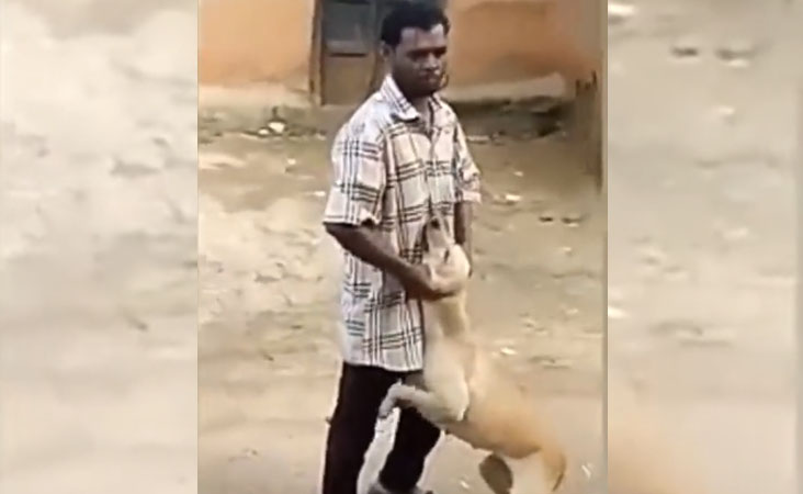 ویڈیو: برے کا انجام برا ہی ہوتا ہے، کتے پر ظلم کرنے والے شخص کو ملی دلچسپ سزا