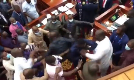 پارلیمنٹ میں چلے لات-گھونسے، جھگڑا ختم کرانے پہنچے مارشل کی بھی پٹائی، دیکھیے ویڈیو