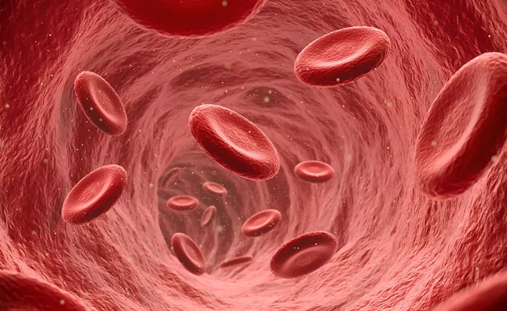 انسان کے خون میں ’مائیکرو پلاسٹک‘ ملنے سے سائنسداں فکرمند، صحت پر مضر اثر کا خطرہ!