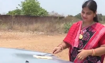 ویڈیو: شدت کی گرمی کا ایسا استعمال نہیں دیکھا ہوگا، خاتون نے کار کی بونٹ پر سینک دی روٹی