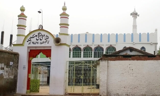 اللہ کا گھر: شاہی سنگی مسجد، پھلواری شریف (تحریر– عظمت اللہ)