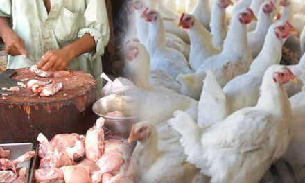 کرناٹک اسمبلی میں حلال گوشت پر پابندی کے لیے بل لانے کا منصوبہ، کانگریس کا سخت اعتراض