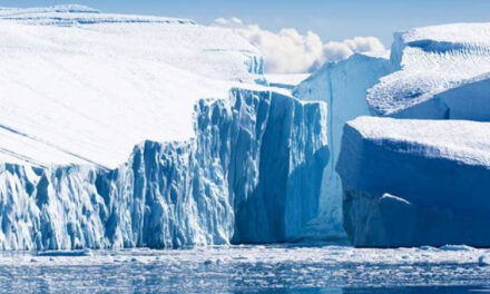 جب 24000 سال سے برف میں دفن ’ڈیلائیڈ روٹیفرس‘ کو سائنسدانوں نے زندہ کر دیا!
