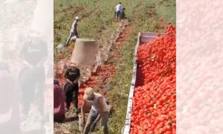 ویڈیو: کھیتوں میں کام کرنے والے فزکس بھلے ہی نہ جانیں، لیکن اس کے اصولوں سے ہیں واقف